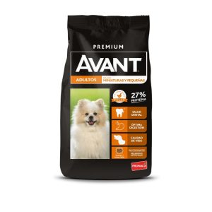 Avant Adultos MinitPeq