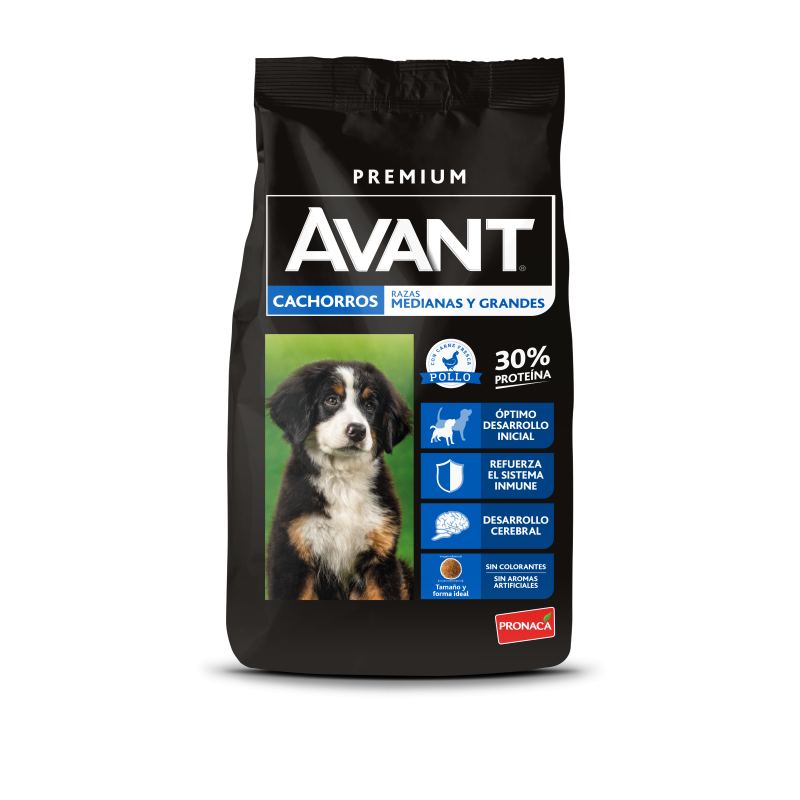 Avant Cachorros MedGdes