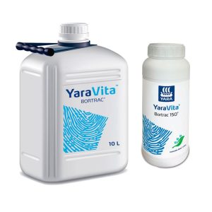 Bortrac Yaravita