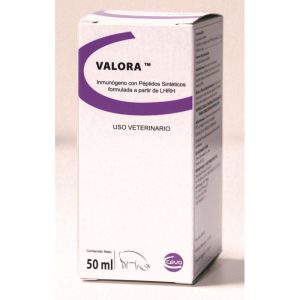 CEVA VALORA elimina olor sexual de cerdos machos caja Ceva Salud animal PMAB Razas Porcinas