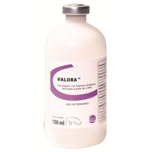 CEVA VALORA elimina olor sexual de cerdos machos frasco Ceva Salud animal PMAB Razas Porcinas