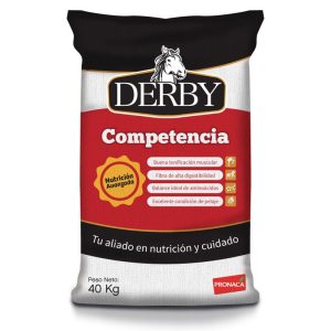 COMPETENCIA DUMMIES DERBY