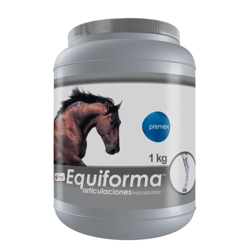 EQUIFORMA ARTICULACIONES (1)