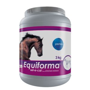 EQUIFORMA SEL E CAL
