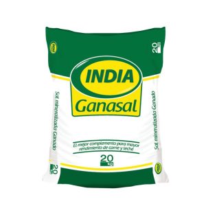 Ganasal
