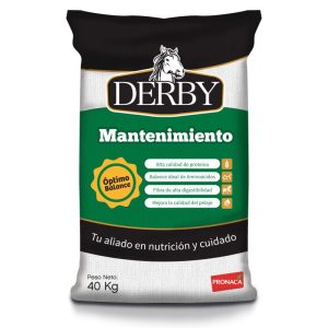 MANTENIMIENTO DUMMIE DERBY