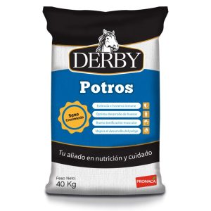 POTROS DUMMIE DERBY