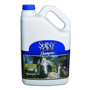 SHINY HORSE FINAL Galon montaje