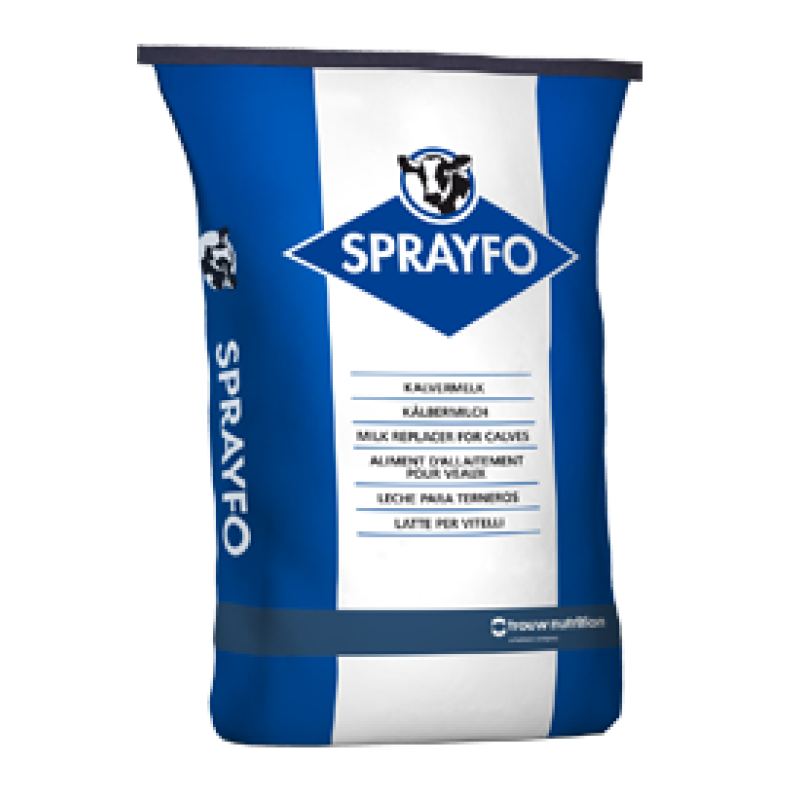 sprayfoblue tn